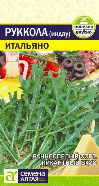 Индау Семена Алтая Руккола (Индау) Итальяно (Семена Алтая) - купить по ...