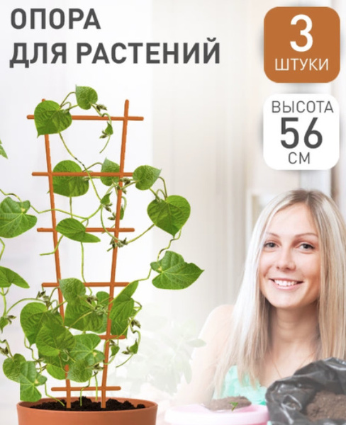 Поддержка для комнатных растений / Шпалера для растений / Опора для ...