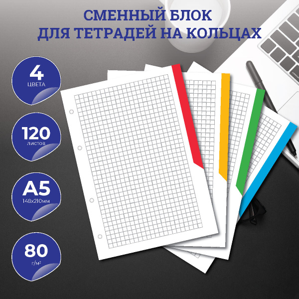 Сменный блок для тетради на кольцах А5, 120 листов, клетка, 80 г/м2, 4 ...