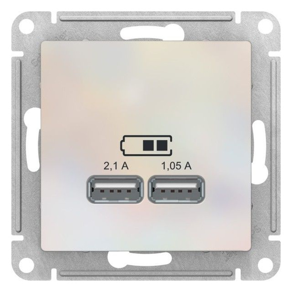 Розетка USB встраиваемая, жемчуг - купить по низкой цене в интернет ...