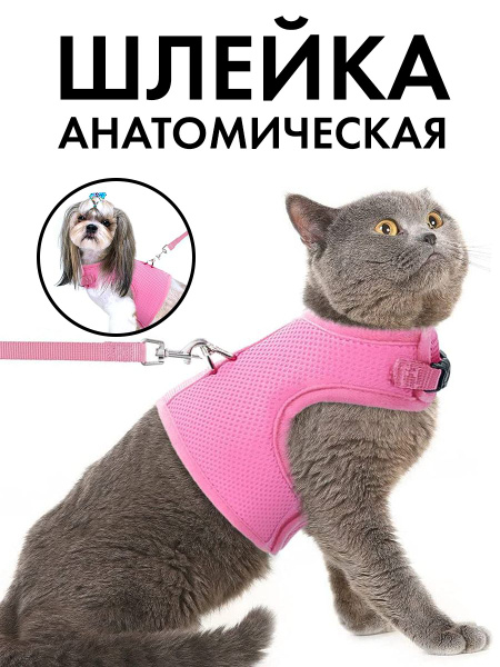 Шлейка для кошек с поводком 1.5 м для прогулки / Шлейка для кроликов и ...