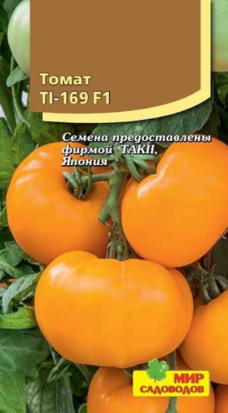 Купить семена томата огородник. Томат ти 169. Ti-169 f1. Томат ti-169 f1 описание. Ти 169 томат описание.