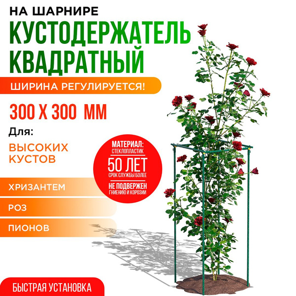Кустодержатель для смородины 30х30 см, высота 80 см., пионов, роз и ...