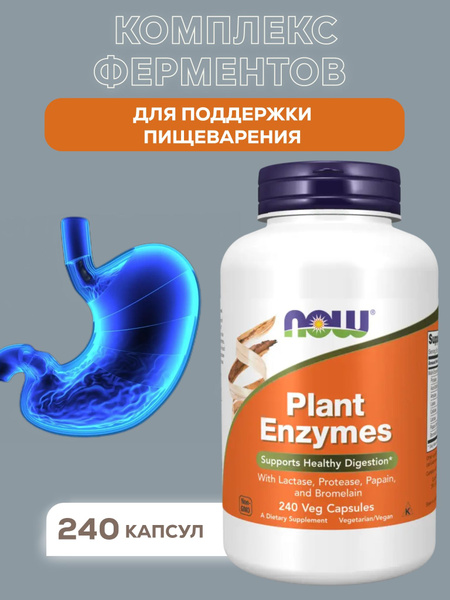 Plant Enzymes, Энзимы Растительные, 240 капсул - купить с доставкой по ...