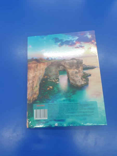 Prof Press Тетрадь, 1 шт., листов: 100 - купить с доставкой по выгодным ...