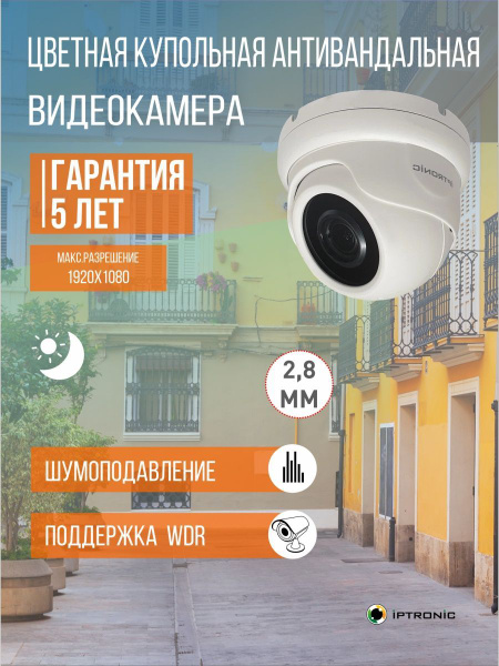 Камера видеонаблюдения IPTRONIC Уличная купольная (видеокамера): IPT ...