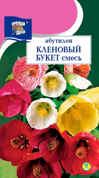 Абутилон Урожай удачи МУ Комнатные ГОРШЕЧНЫЕ - купить по выгодным ценам ...