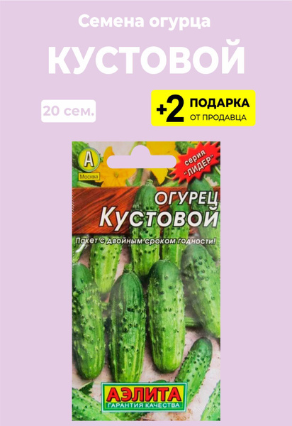 Купить Семена Огурцов Кустовой