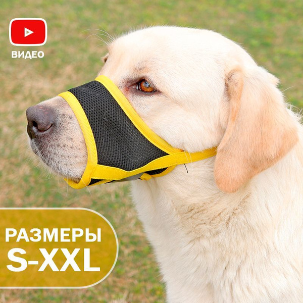 Намордник для собак дышащий регулируемый - купить с доставкой по ...