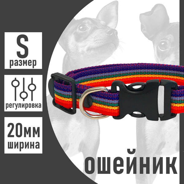 Ошейник для собак мелких пород и щенка Petsare, обхват шеи 25-35 см ...