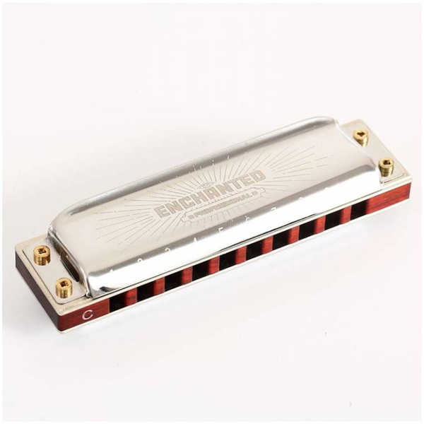 Easttop Pro30 G - диатоническая губная гармошка, G - купить с доставкой ...