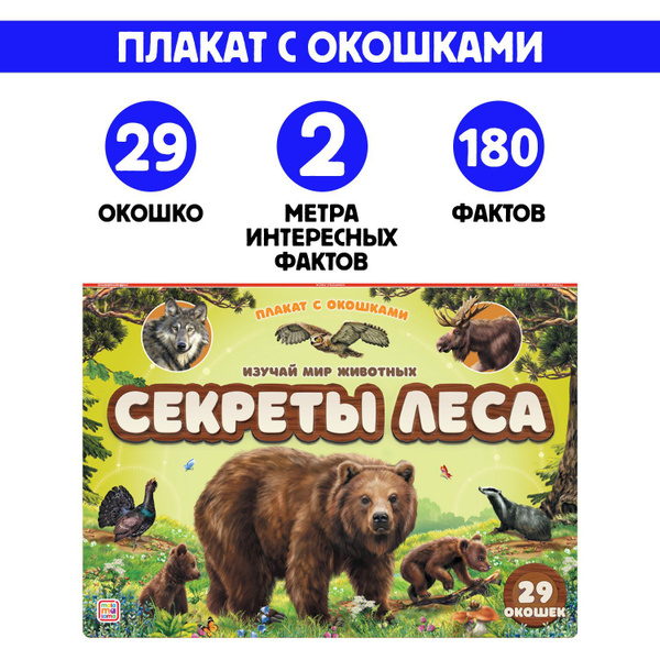 Энциклопедия с окошками Секреты леса. Животные. Книга для детей ...