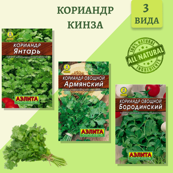 Кориандр Агрофирма Аэлита наблидер_зеленый - купить по выгодным ценам в ...