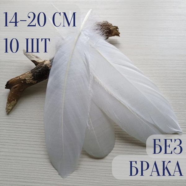 Гусиные перья для творчества и рукоделия. Белые. 10 шт. 10-20 см ...
