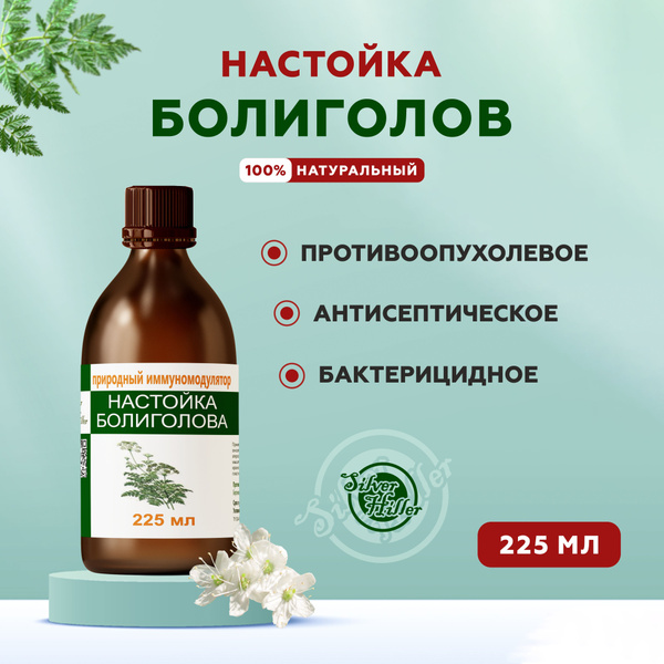 Настойка болиголова при онкологии, фибромах, миоме, кисте, мастопатии ...