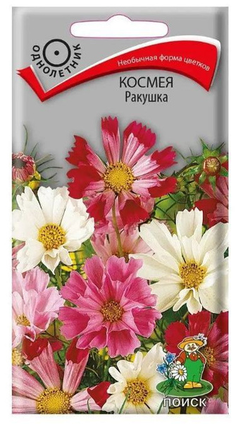 Космея Поиск Космея Ракушка - купить по выгодным ценам в интернет ...