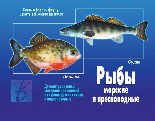 Рыбы. Морские и пресноводные. Демонстрационный материал для занятий в ...