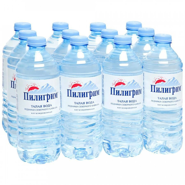 Вода Пилигрим 0.5 литра, без газа, пэт, 12 шт. в уп. - купить с ...