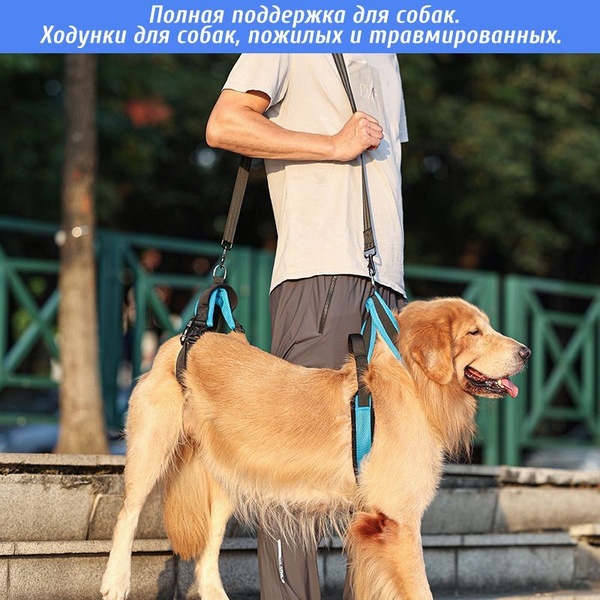 Полная поддержка для собак. Ходунки для собак, пожилых и травмированных ...