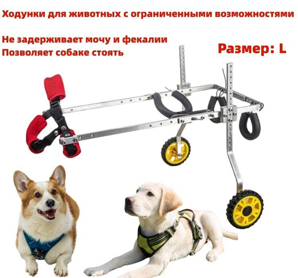 Ходунки для инвалидов задних лап собак, для пинчеров, лабрадоров ...