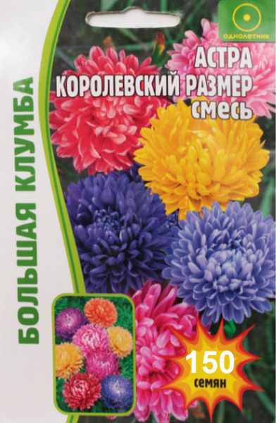 Астры однолетние Редкие семена НФ-00012040 - купить по выгодным ценам в ...