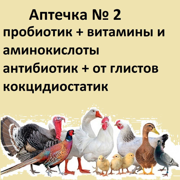 Витамины для птиц и животных. Лечение кур. Аптечка для цыплят, кур ...