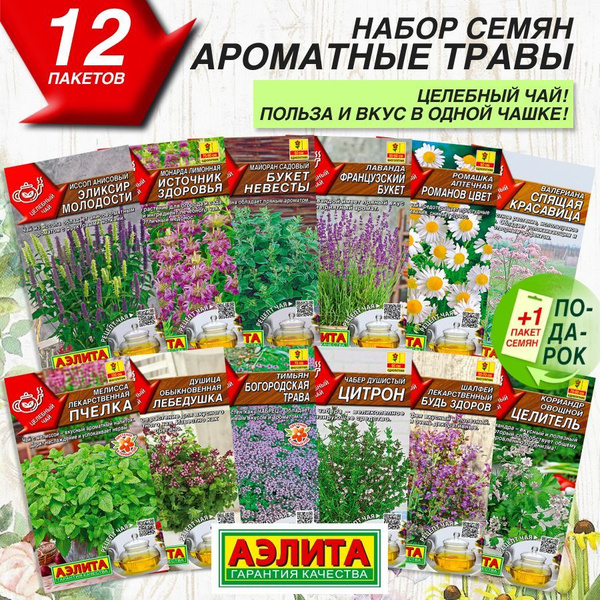 Лекарственные травы Аэлита Лекарственные - купить по выгодным ценам в ...