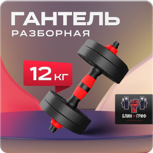Гантели БЛИН-да-ГРИФ разборная для фитнеса 2023, 1 шт. по 12 кг ...