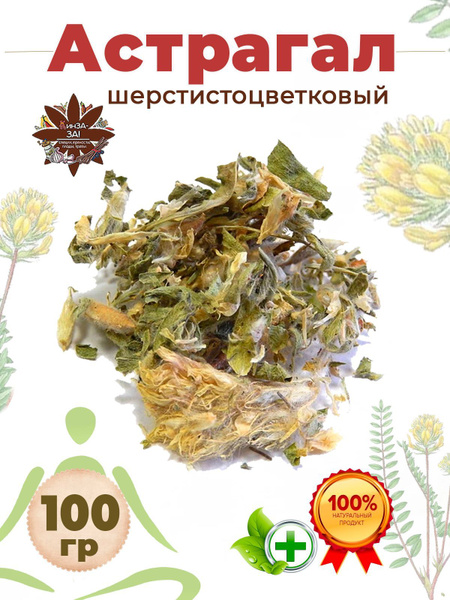 Астрагал шерстистоцветковый, травяной чай, трава цельная 100 гр ...