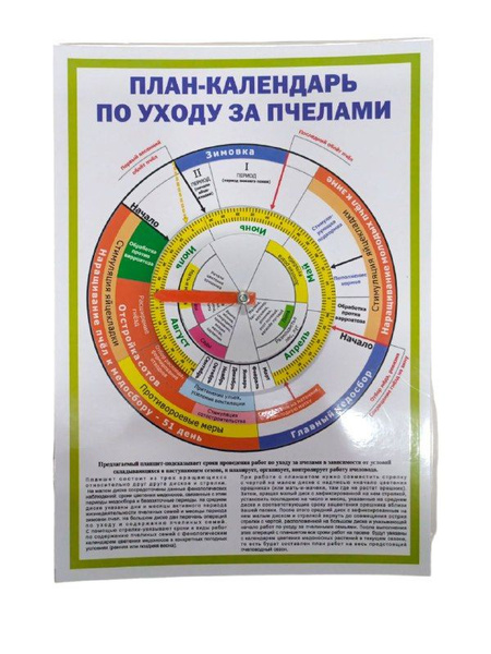 План - календарь по уходу за пчёлами (план календарь пчеловода работ на ...