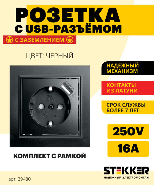 Розетка двойная / Розетка с usb 250B 16А, черный, Эрна с рамкой Stekker ...