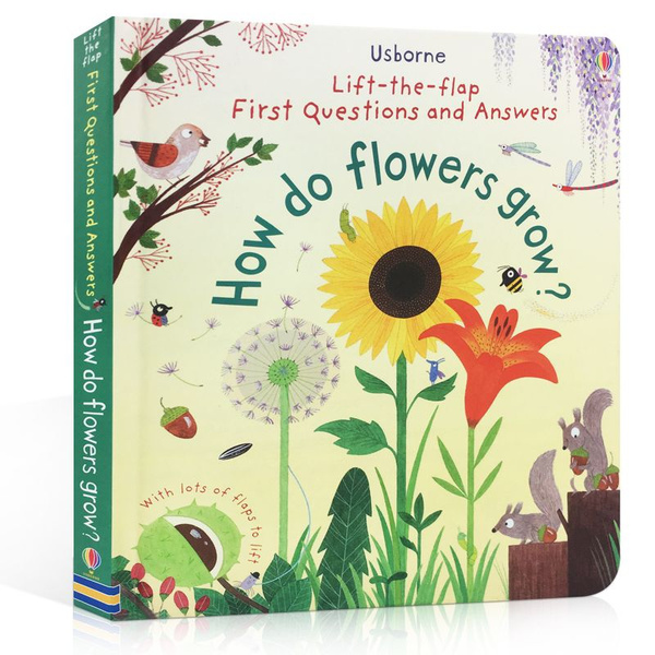Usborne Lifttheflap First Questions And Answers How Do Flowers Grow