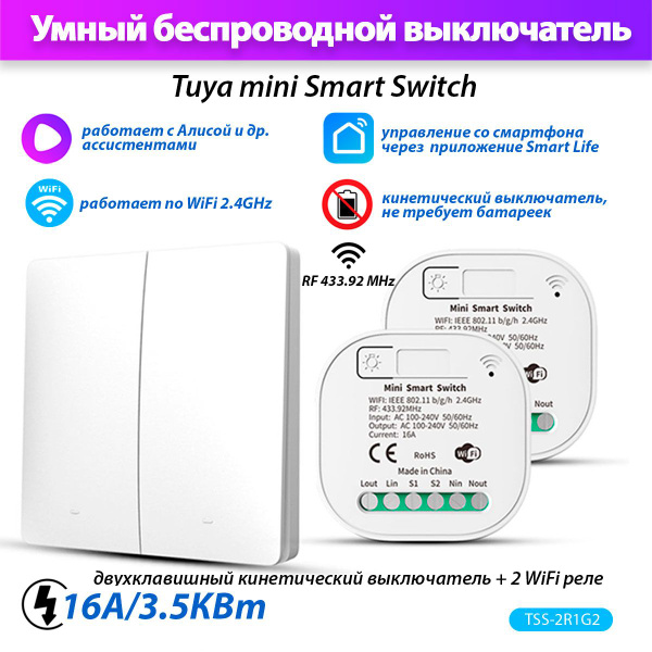 Умный выключатель Tuya Smart Switch TSS-2R1G2 (2 реле Wi-Fi + 1 двойной ...