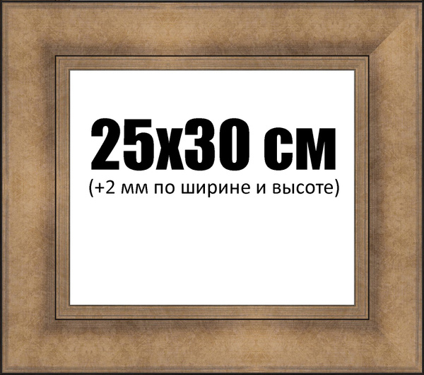 Рама 25,2х30,2 см для картины на подрамнике, итальянская бронза (70 мм ...