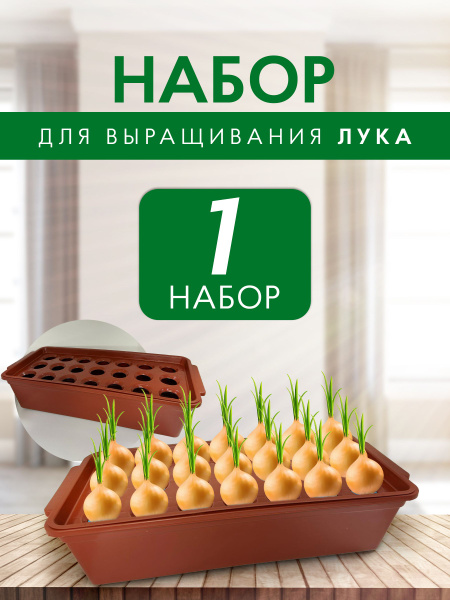 Контейнер лоток ящик для выращивания зеленого лука купить по низкой ...