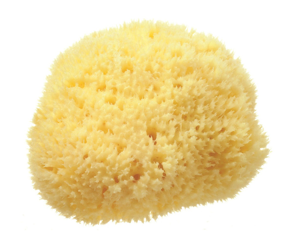 Натуральный спонж для тела / Hydrea London Honeycomb Sea Sponge M ...