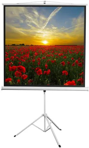 100" Экран для проектора Digis Kontur-D DSKD-1105 - купить с доставкой ...