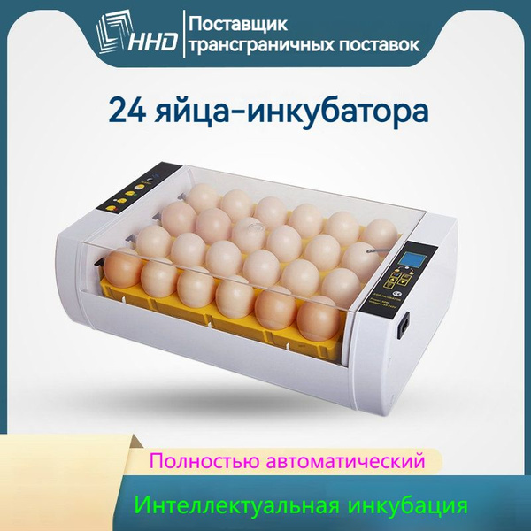 Инкубатор для яиц рептилий Rcom 24 MAX - купить с доставкой по выгодным ...