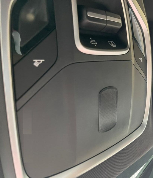 Заглушка ГЛОНАСС в плафон Geely Coolray, X50 с люком, черная - купить ...