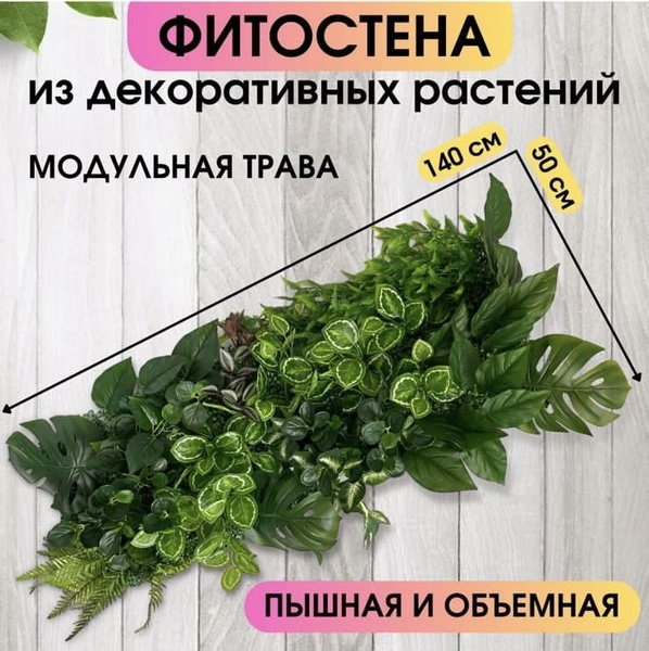 Фитостена из декоративных растений ,модульная искусственная трава ...