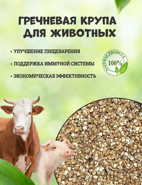 Гречневая крупа для собак и животных птиц кормовая добавка 10 кг ...