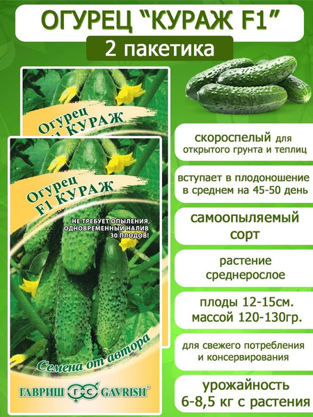 Огурец кураж отзывы фото