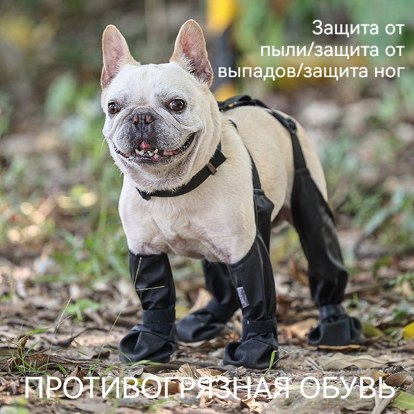 Противообрастающая обувь для собак.Защита от обрастания ...