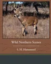 Wild Northern Scenes - S. H. Hammond