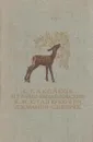 Детские годы Багрова-внука. Детство Темы. Рассказы - Сергей Аксаков