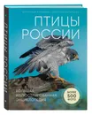 Птицы России. Большая иллюстрированная энциклопедия - Матанцев Александр Николаевич