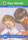 Key Words: 6c Reading with sounds - LADYBIRD KEY WORDS  COMPI