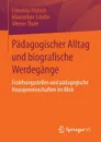 Padagogischer Alltag Und Biografische Werdegange. Erziehungsstellen Und Padagogische Hausgemeinschaften Im Blick - Franziska Hubsch, Maximilian Schafer, Werner Thole