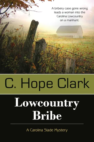 Обложка книги Lowcountry Bribe, C. Hope Clark