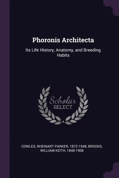 Обложка книги Phoronis Architecta. Its Life History, Anatomy, and Breeding Habits, Rheinart Parker Cowles, William Keith Brooks